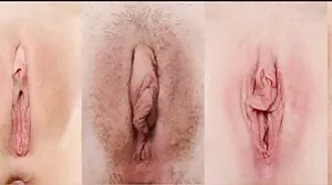 خوبصورت چھاتی