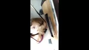 GotFilled: ایک گندگی کرنے کی مونا آذر پر PornHD