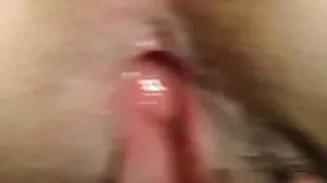 شیرون سفید