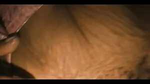 Realit بادشاہوں کا بادشاہ: سٹاپ چل رہا ہے اور میری سوراخ! Gia Derza پر کہا PornHD